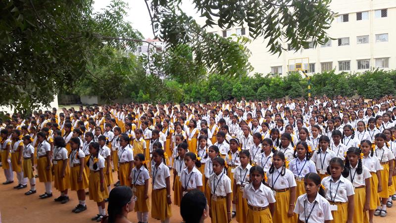 MVM Narsinghpur School Education